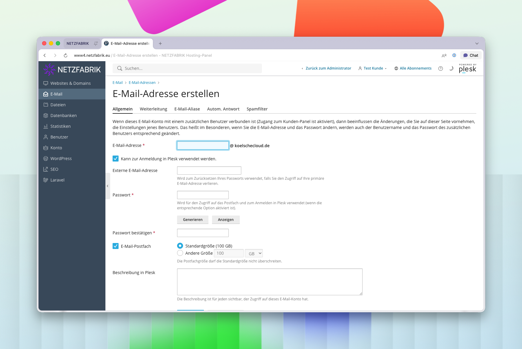 Plesk E-Mail-Adresse erstellen – Formular