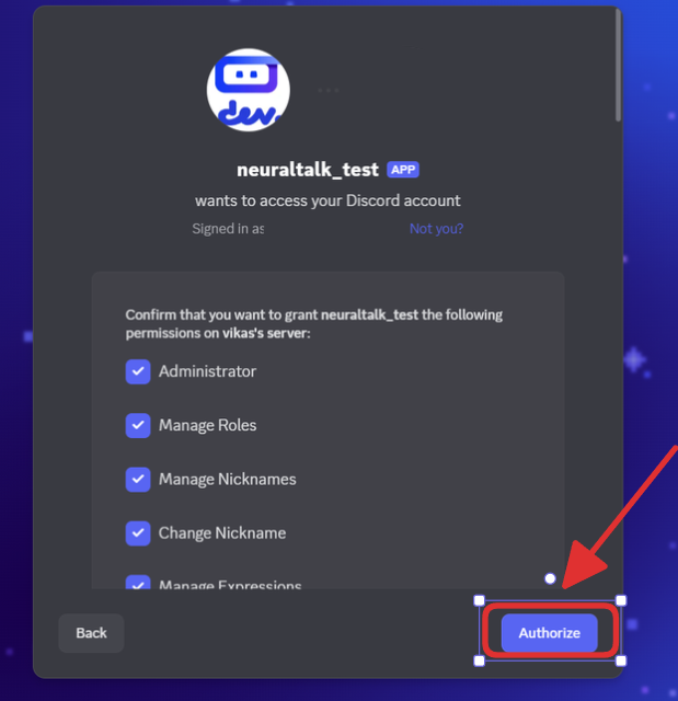 Discord Authorization Step 2