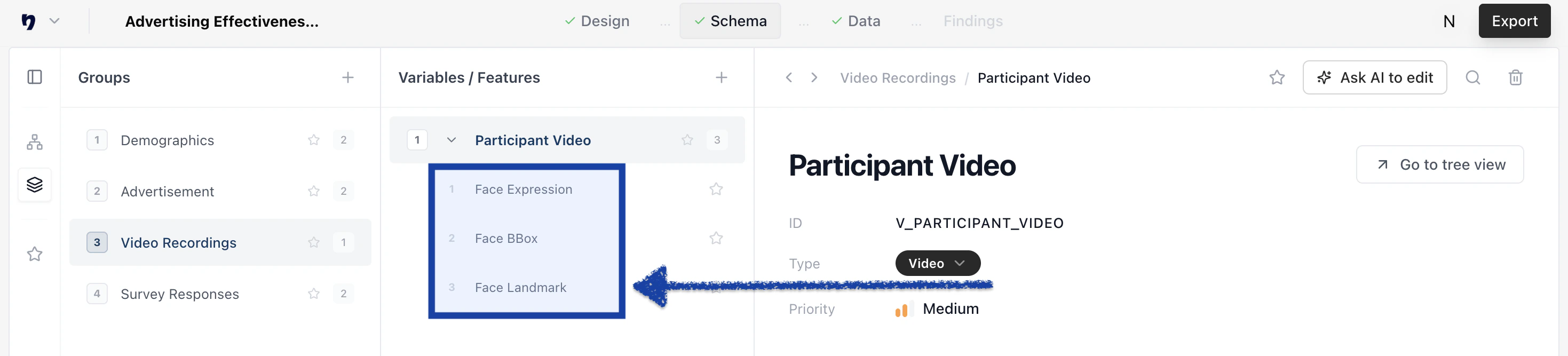 Schema Related Features