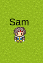Styled player name component