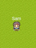 Player name component