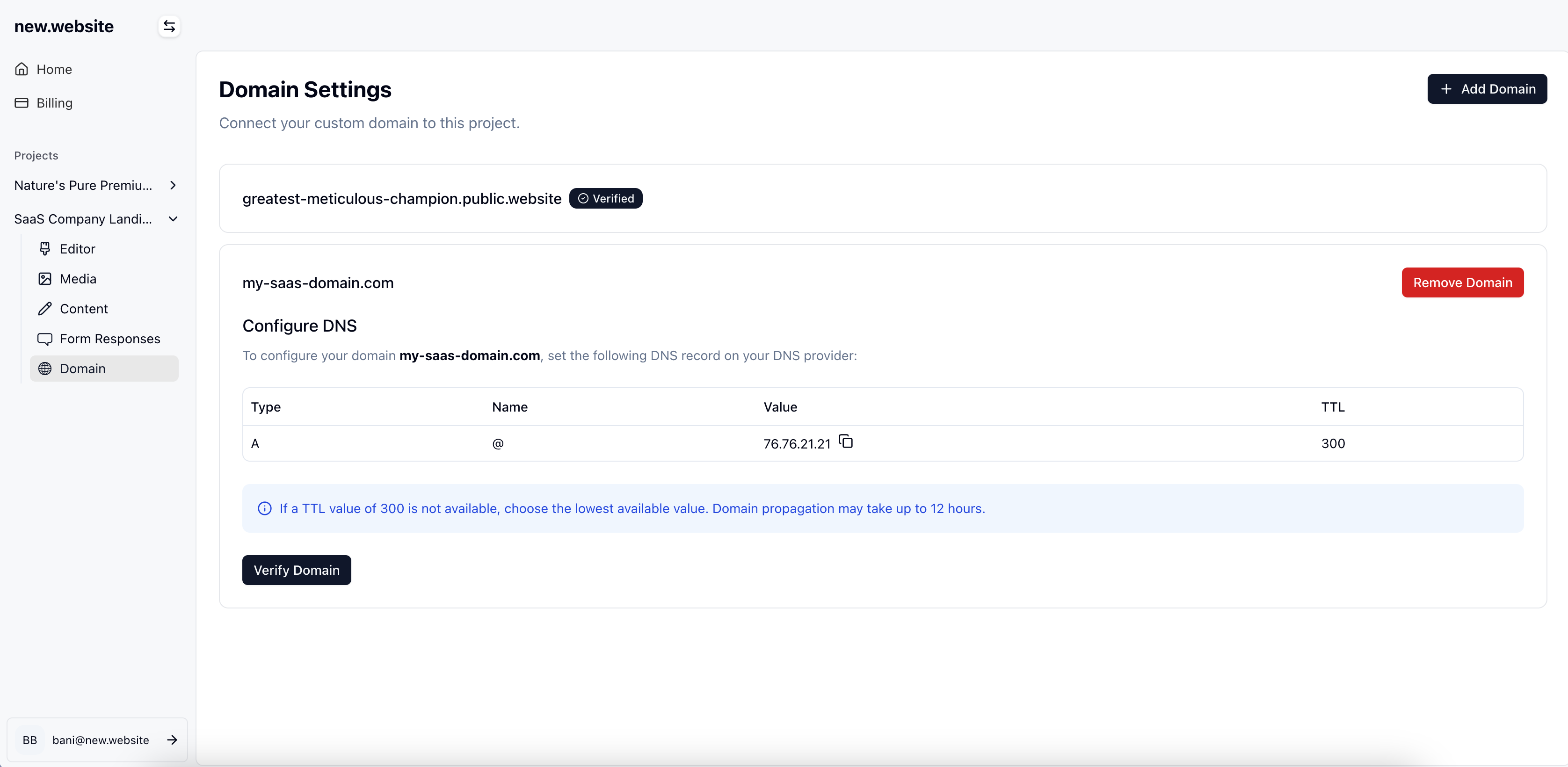 Domain Settings Interface