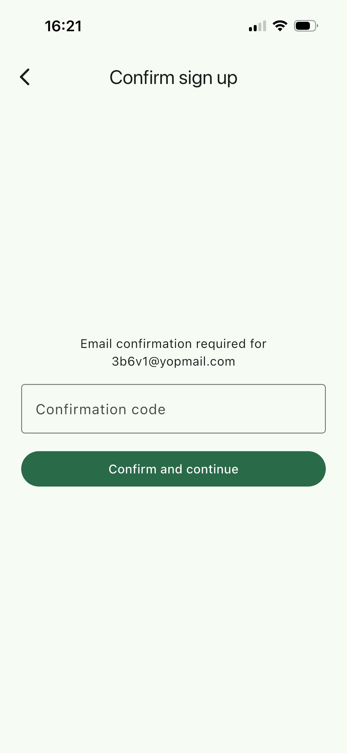 Email confirmation screen