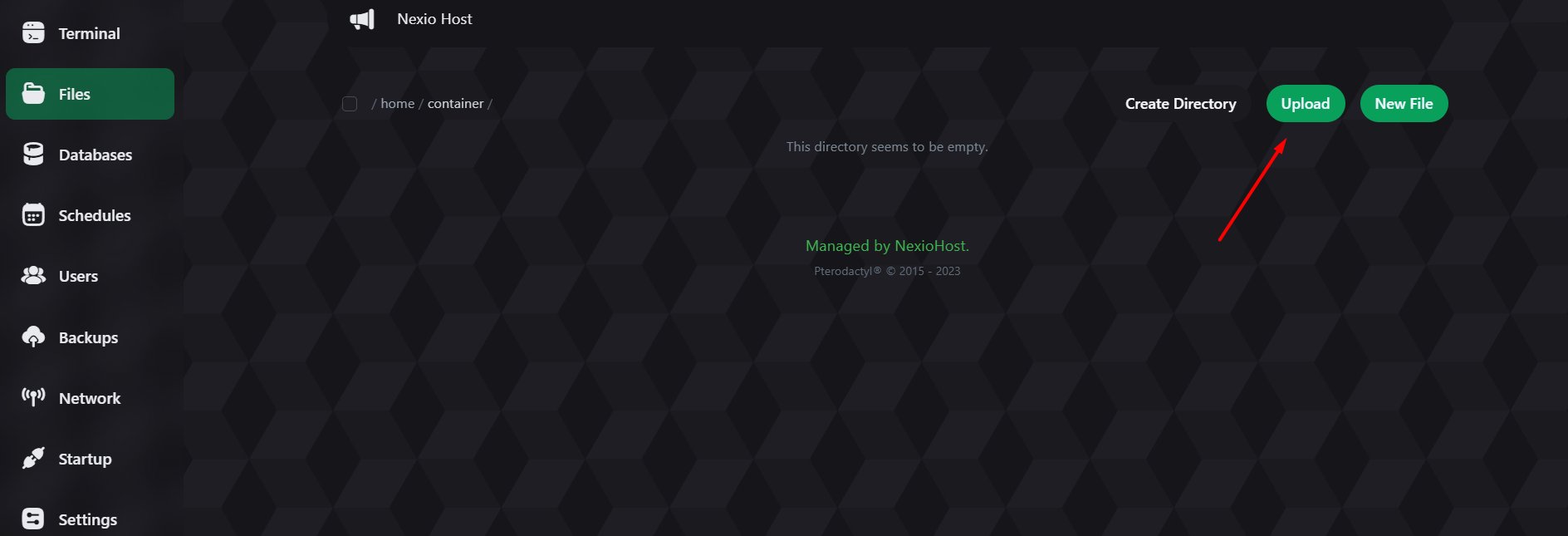 NexioHost control panel — Startup tab with command and variables
