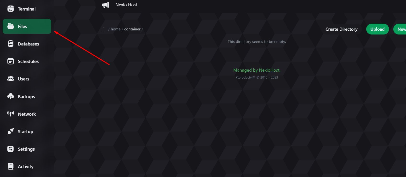 NexioHost control panel — Files tab