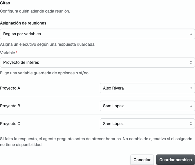 Editor de reglas por variables con opciones de proyecto y ejecutivos de ejemplo