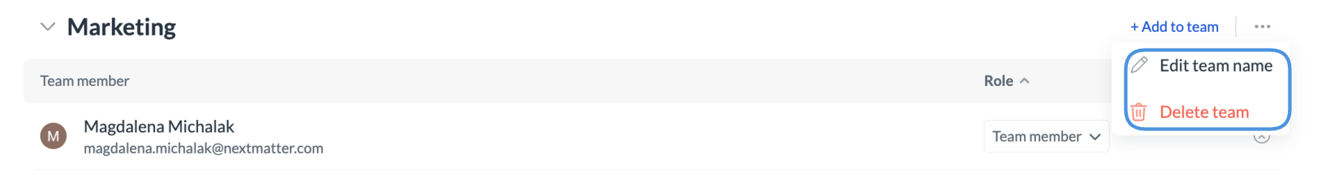 Image showing the opetin to delete or rename a team