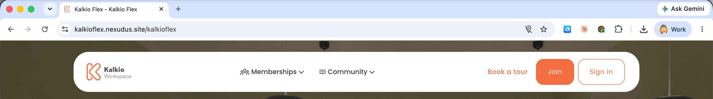 Members Portal in a browser tab, showing the custom favicon next to the page title