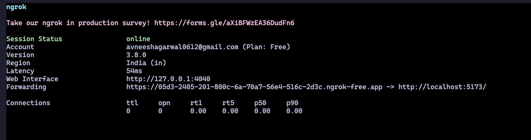 Ngrok URL
