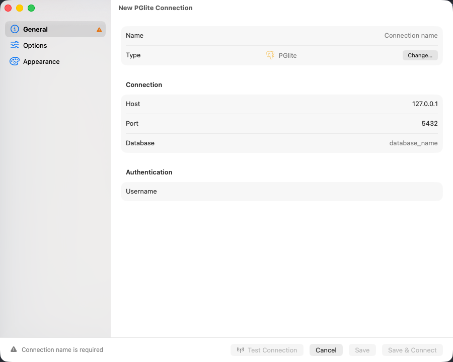 PGlite connection form