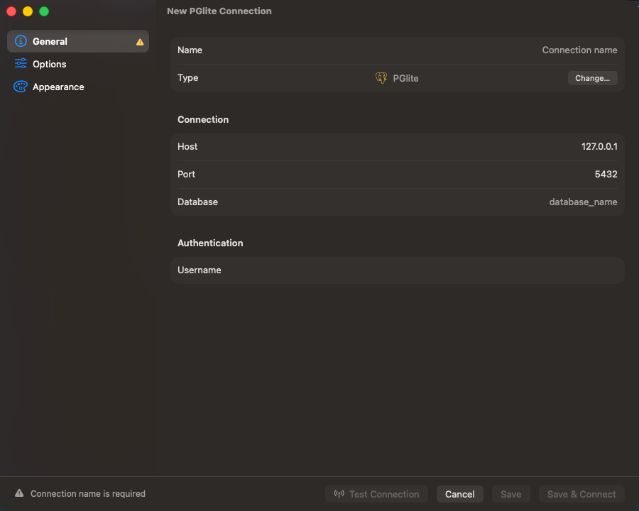 PGlite connection form