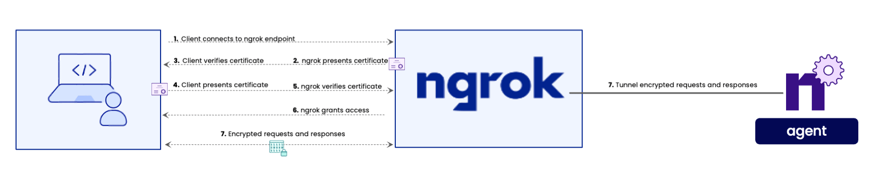 Diagram showing the 7-step mutual TLS handshake between a client and the ngrok edge, including certificate exchange and verification
