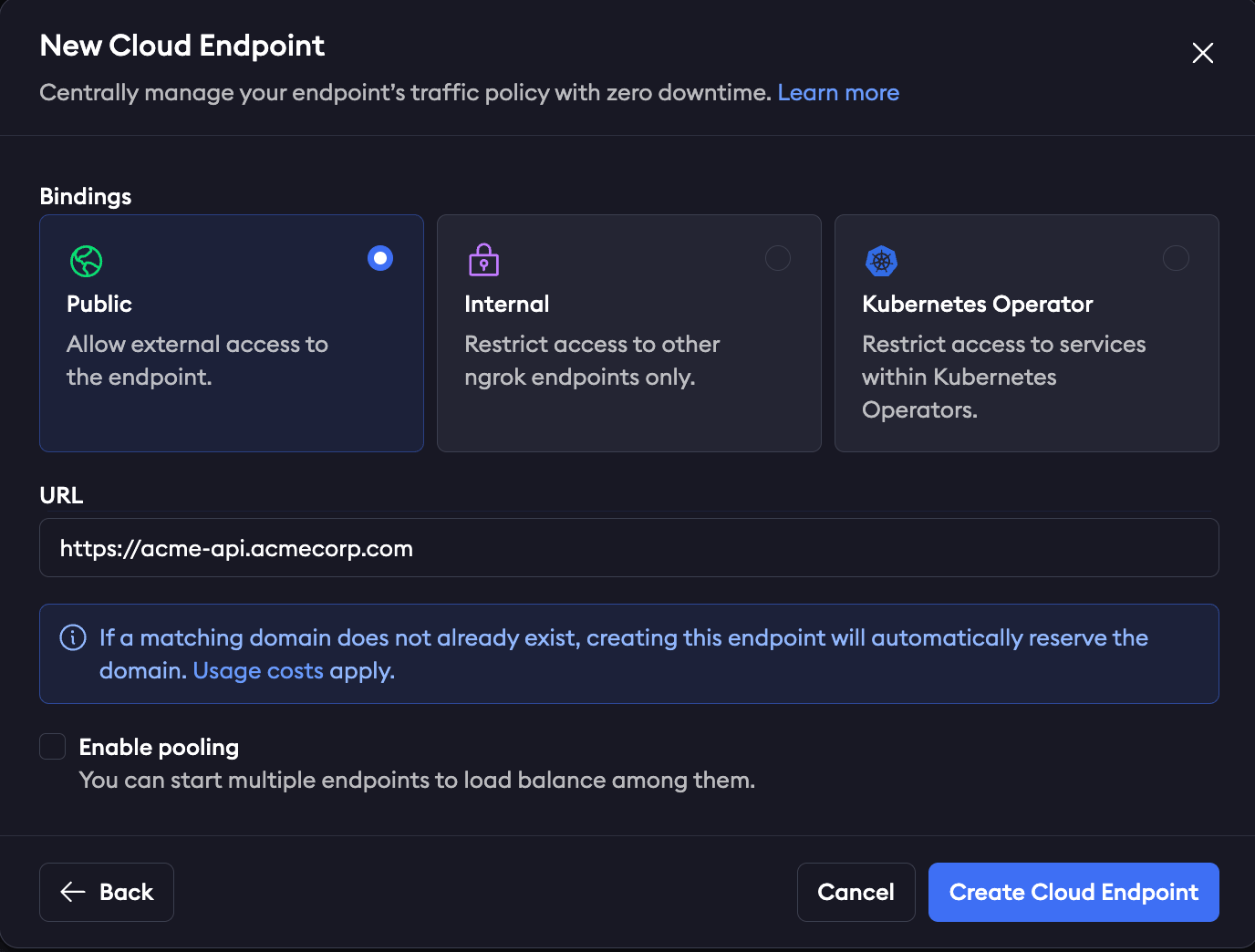 ngrok dashboard New Cloud Endpoint dialog with Public binding selected and a custom domain URL