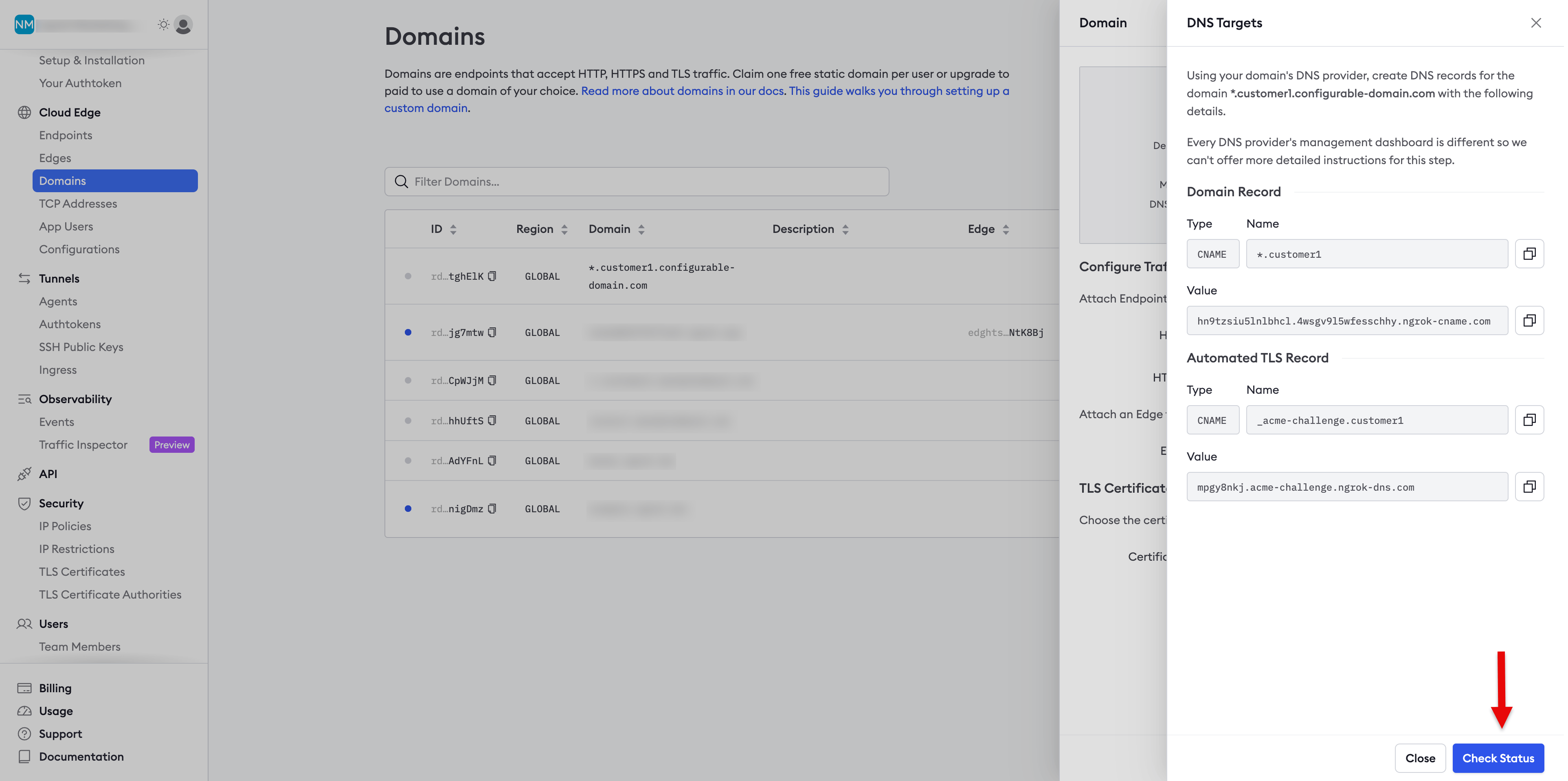 ngrok dashboard DNS Targets panel showing CNAME and TLS record values with the Check Status button highlighted