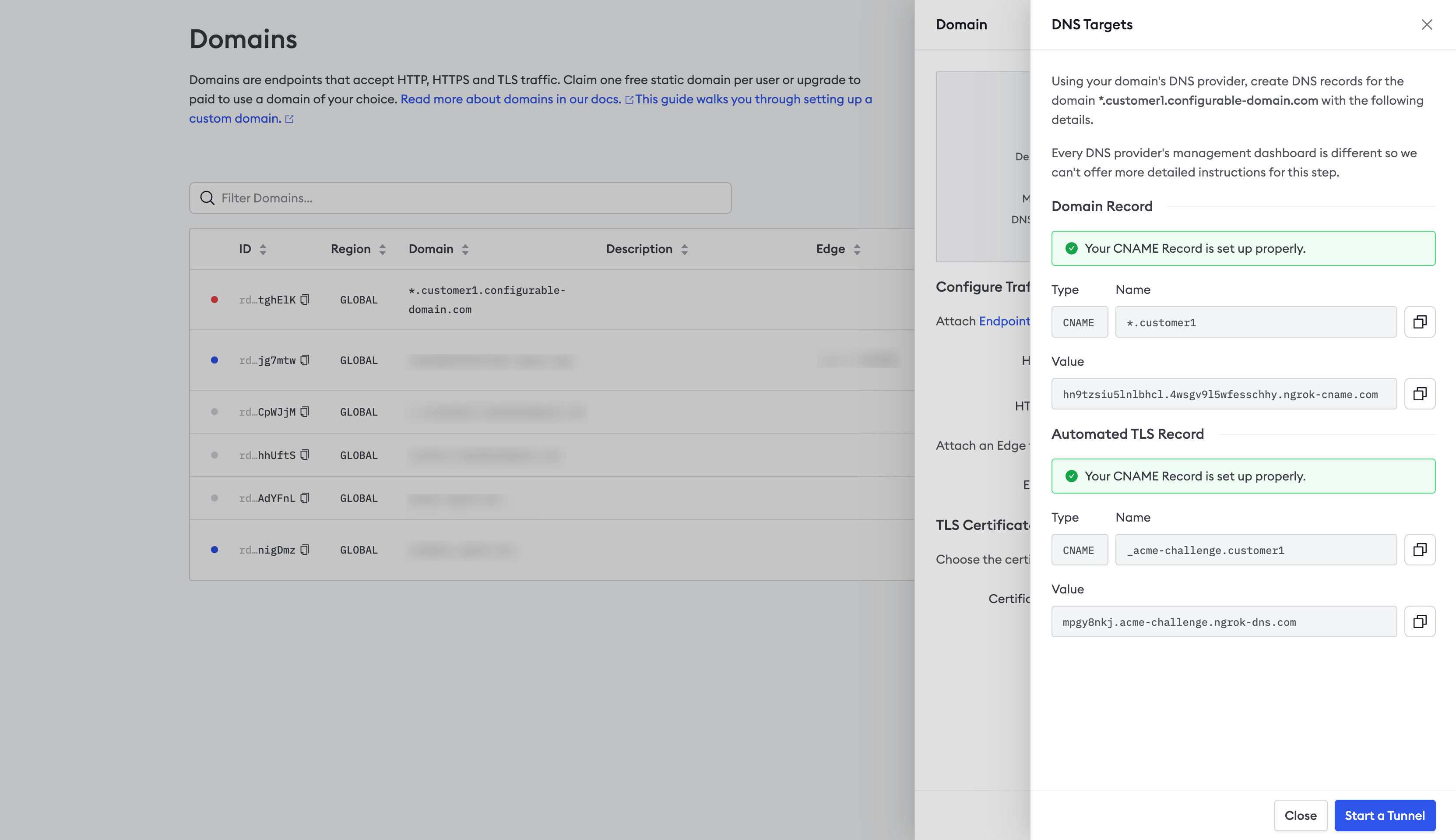 ngrok dashboard DNS Targets panel showing successful CNAME and TLS record validation with green checkmarks