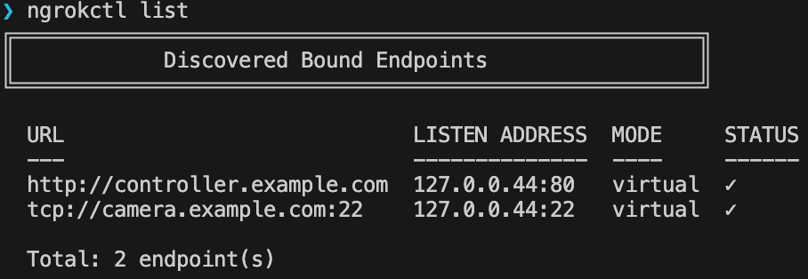 ngrokctl list output showing private endpoints