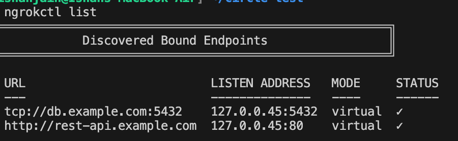 ngrokctl list output showing Discovered Bound Endpoints with TCP and HTTP endpoints assigned local virtual addresses