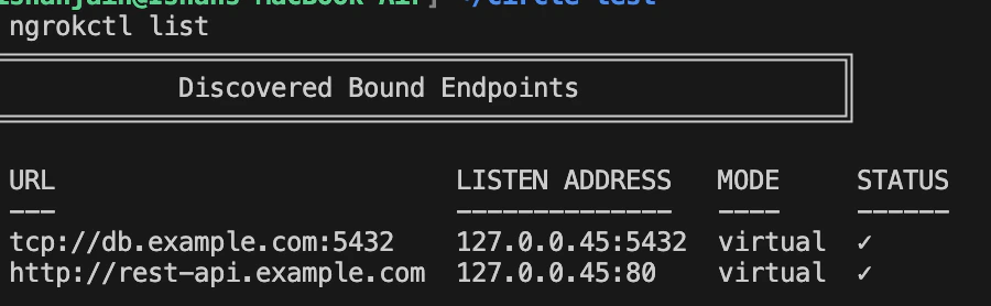 ngrokctl list output showing private endpoints