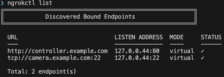 ngrokctl list output showing private endpoints