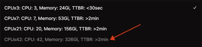 300GB RAM Compute Option