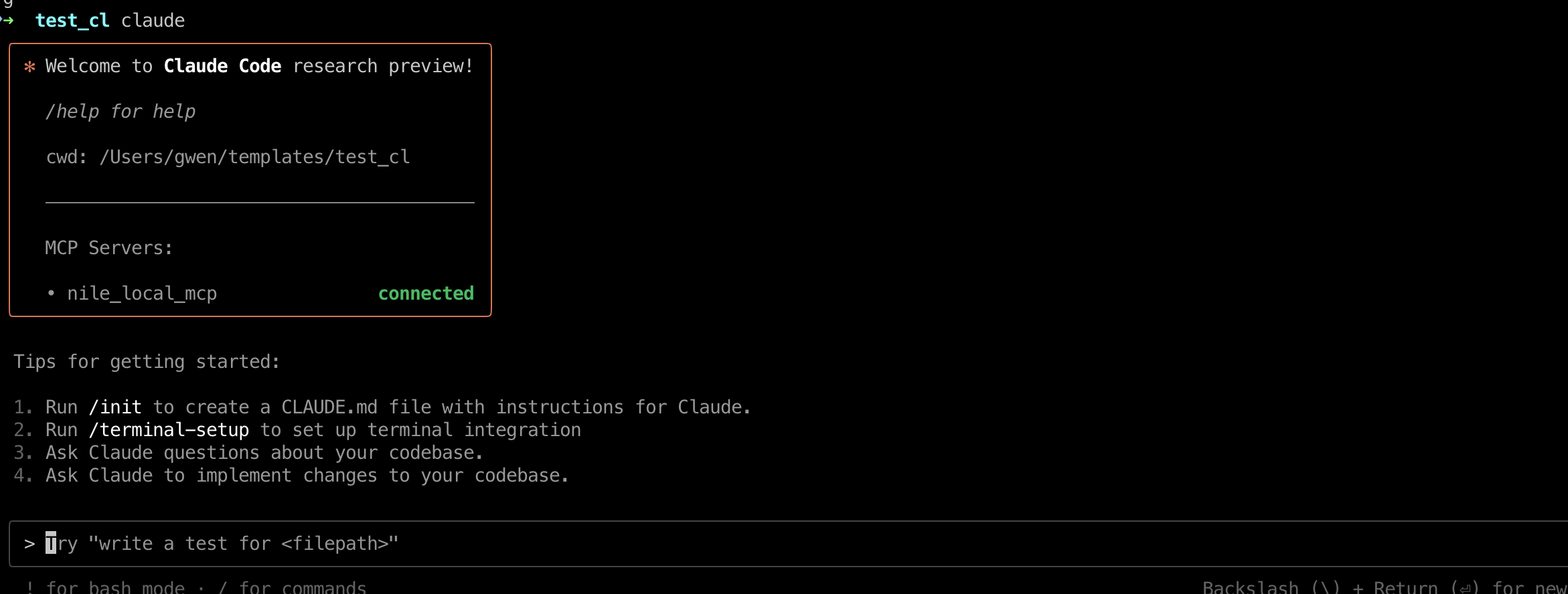 Claude Code MCP
