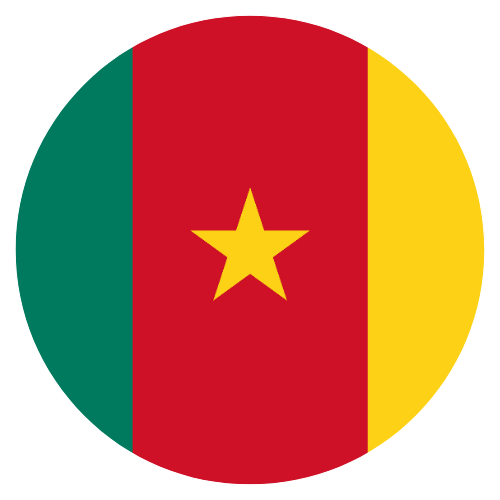 Cameroon flag