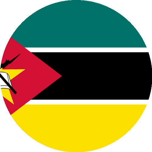 Mozambique flag