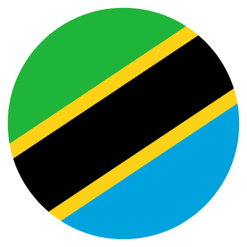Tanzania flag