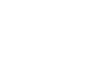 dark logo