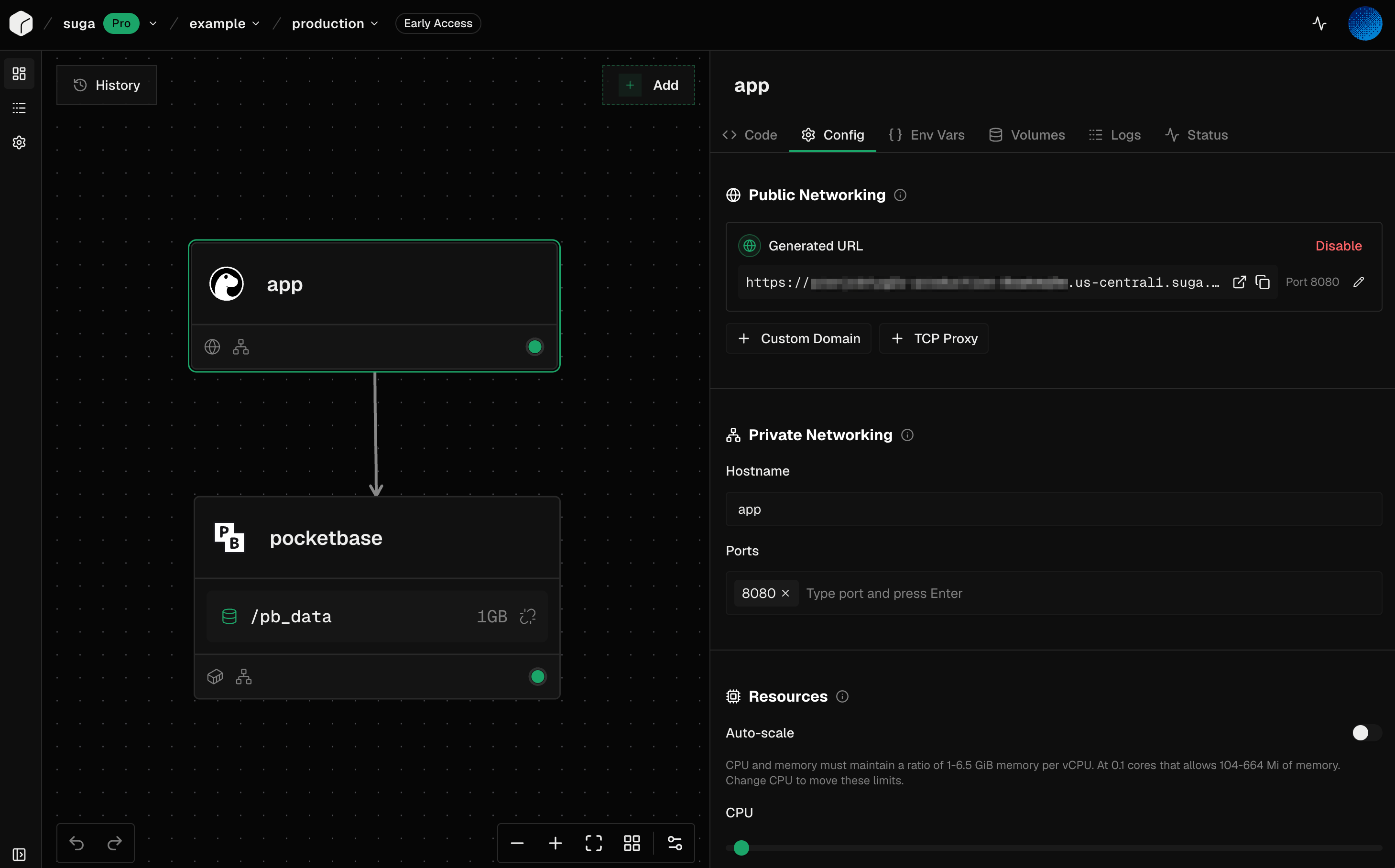 Service configuration panel showing environment variables, networking, and resources