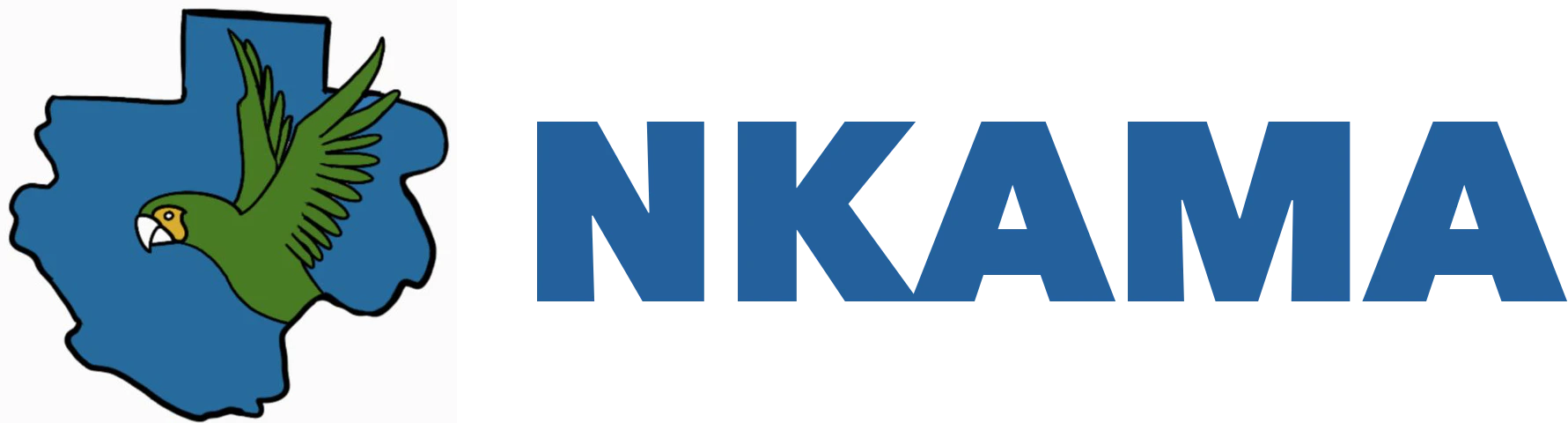 light logo
