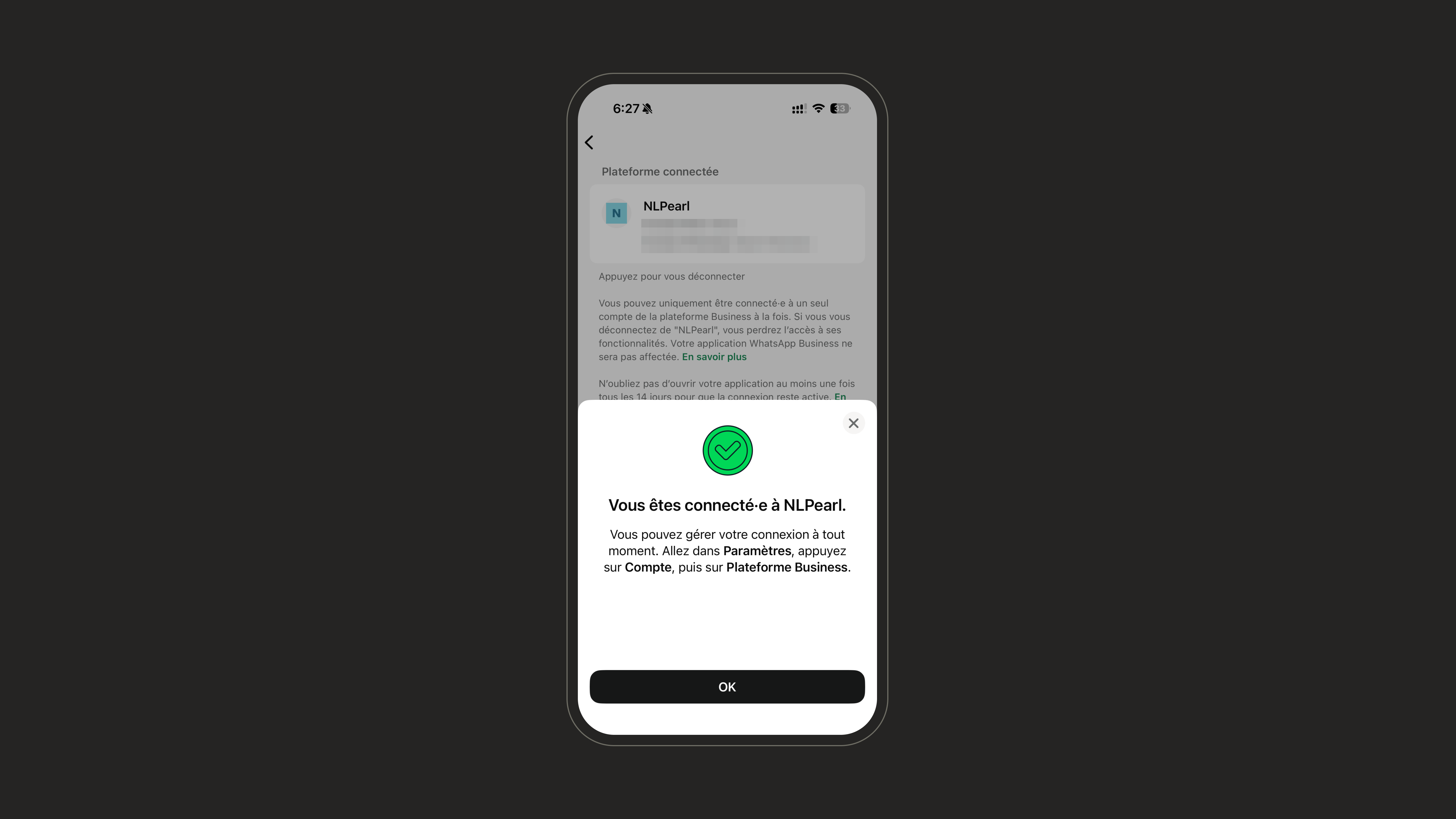 Connection success screen in the WhatsApp Business app