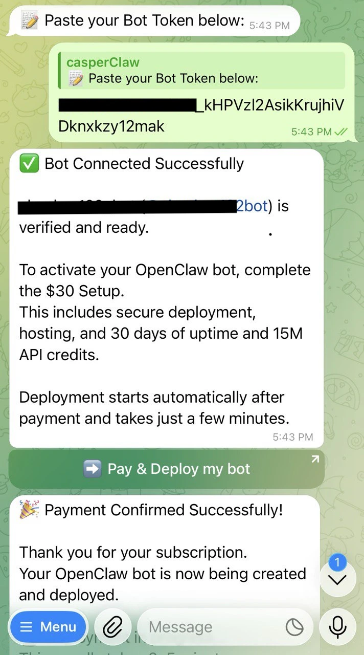 Bot connected and payment confirmed