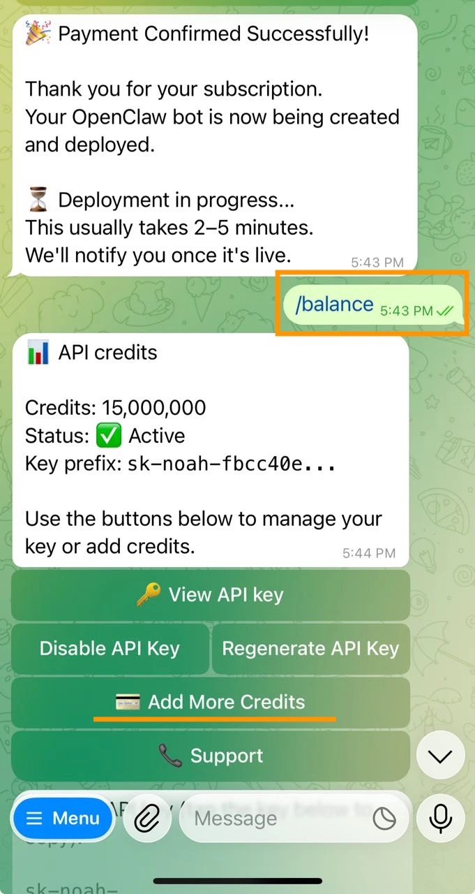 Balance and credits management
