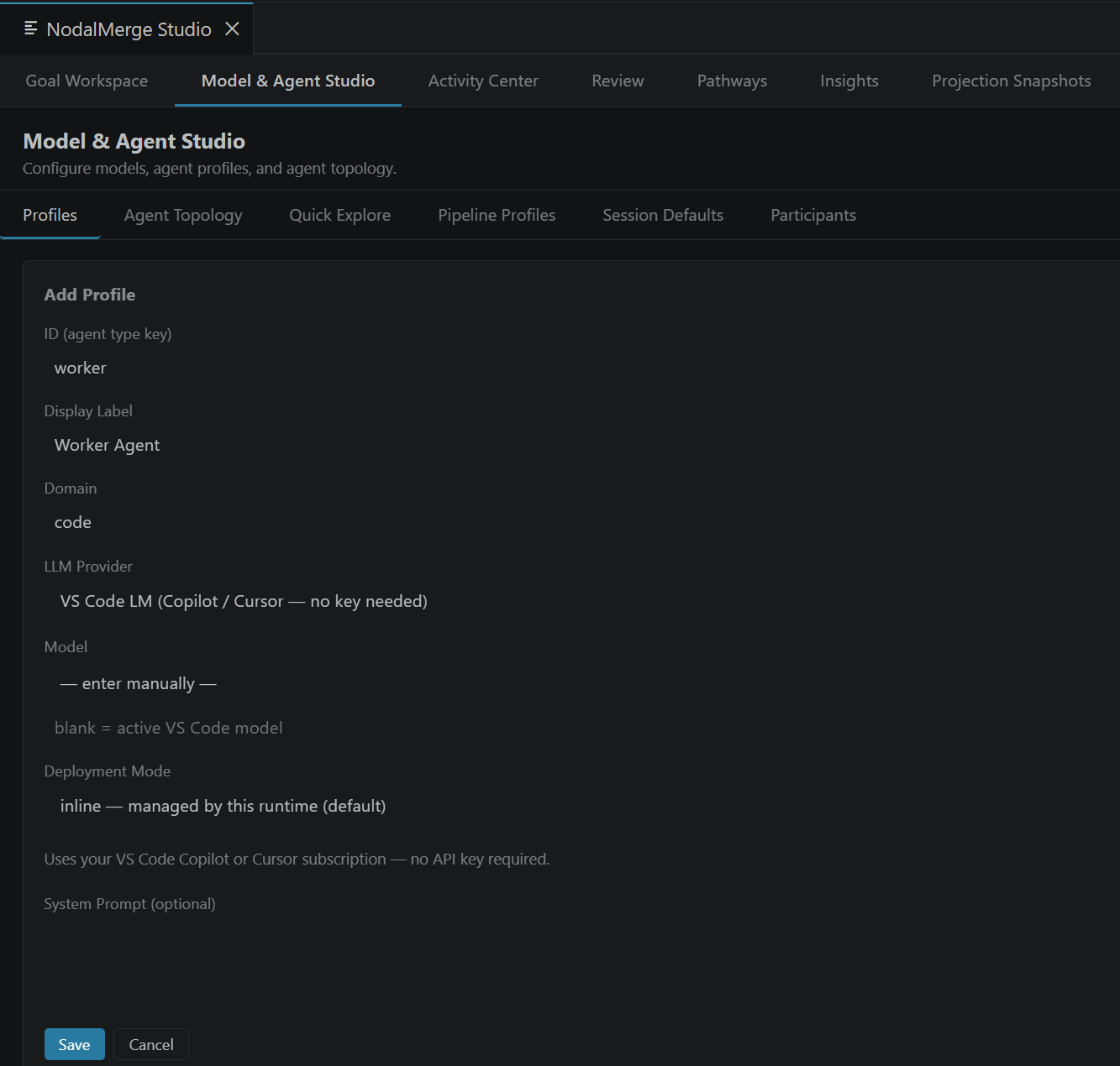 Model & Agent Studio, Profiles tab, with the Add Profile form filled in