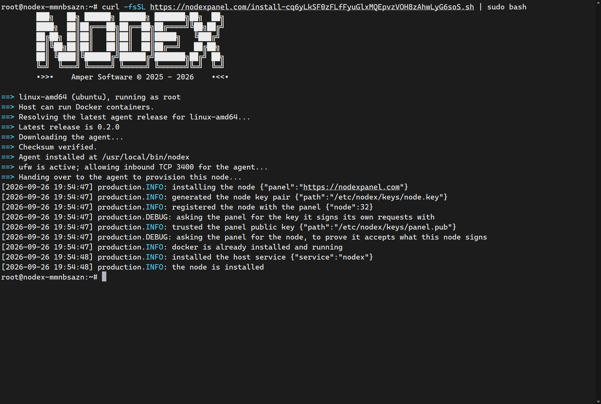 Execute Install Command