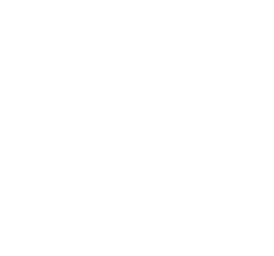 light logo