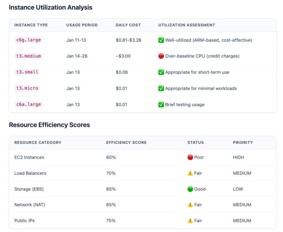 Instance utilization analysis showing daily cost and efficiency scores by resource category
