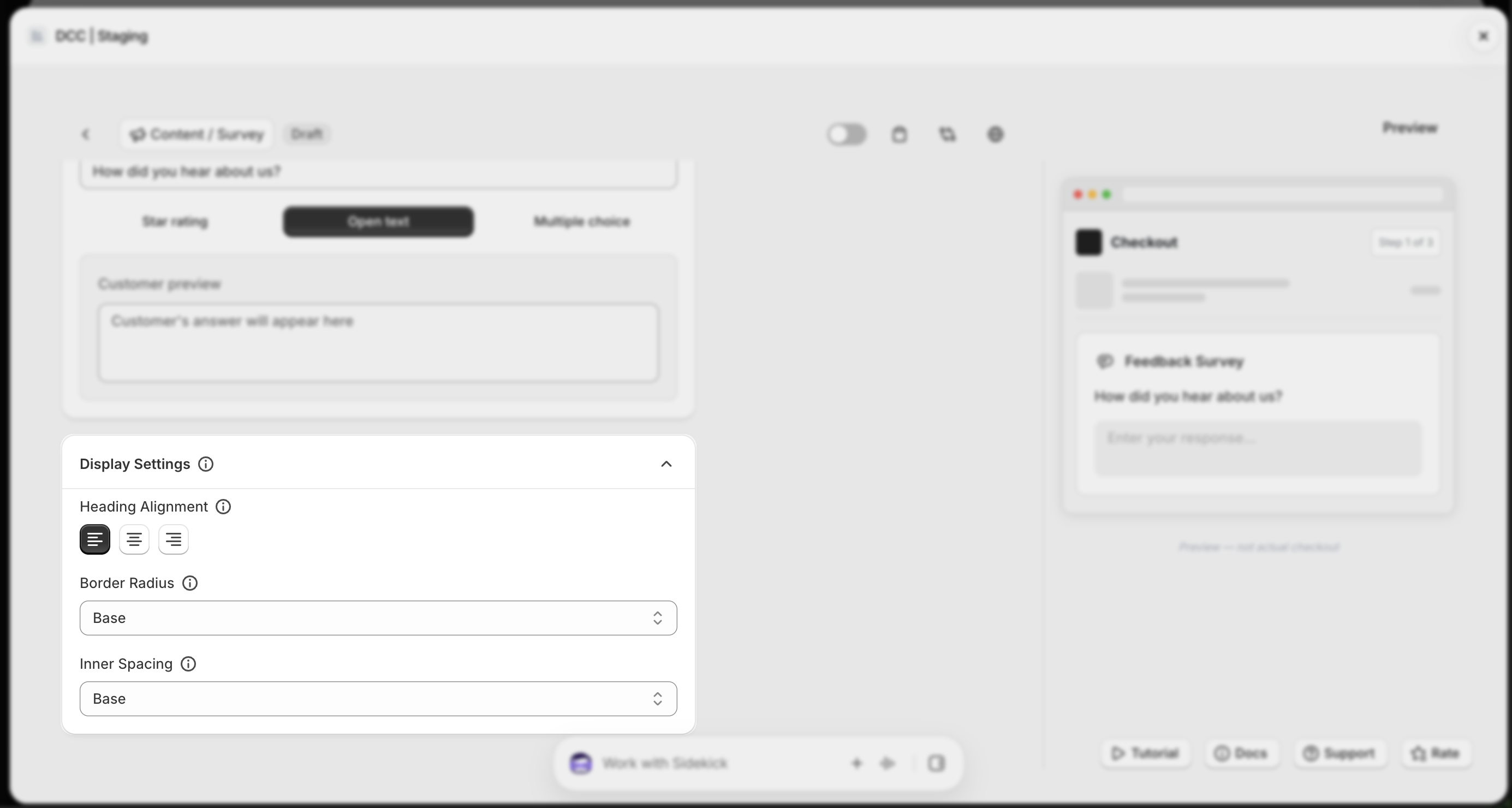 Survey Display Settings Focus