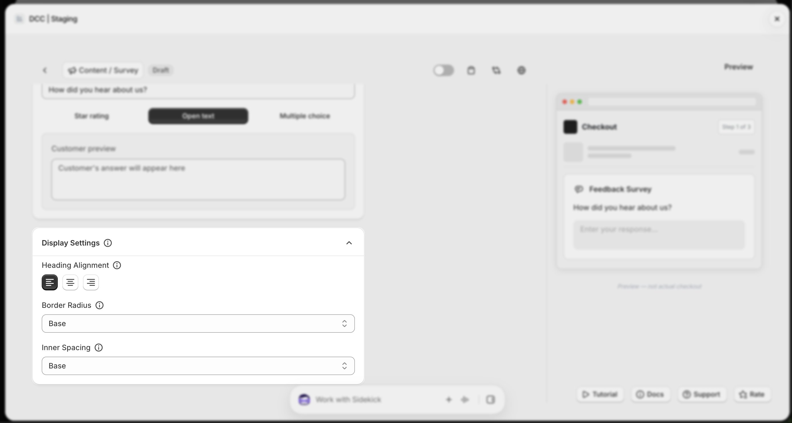 Survey Display Settings Focus