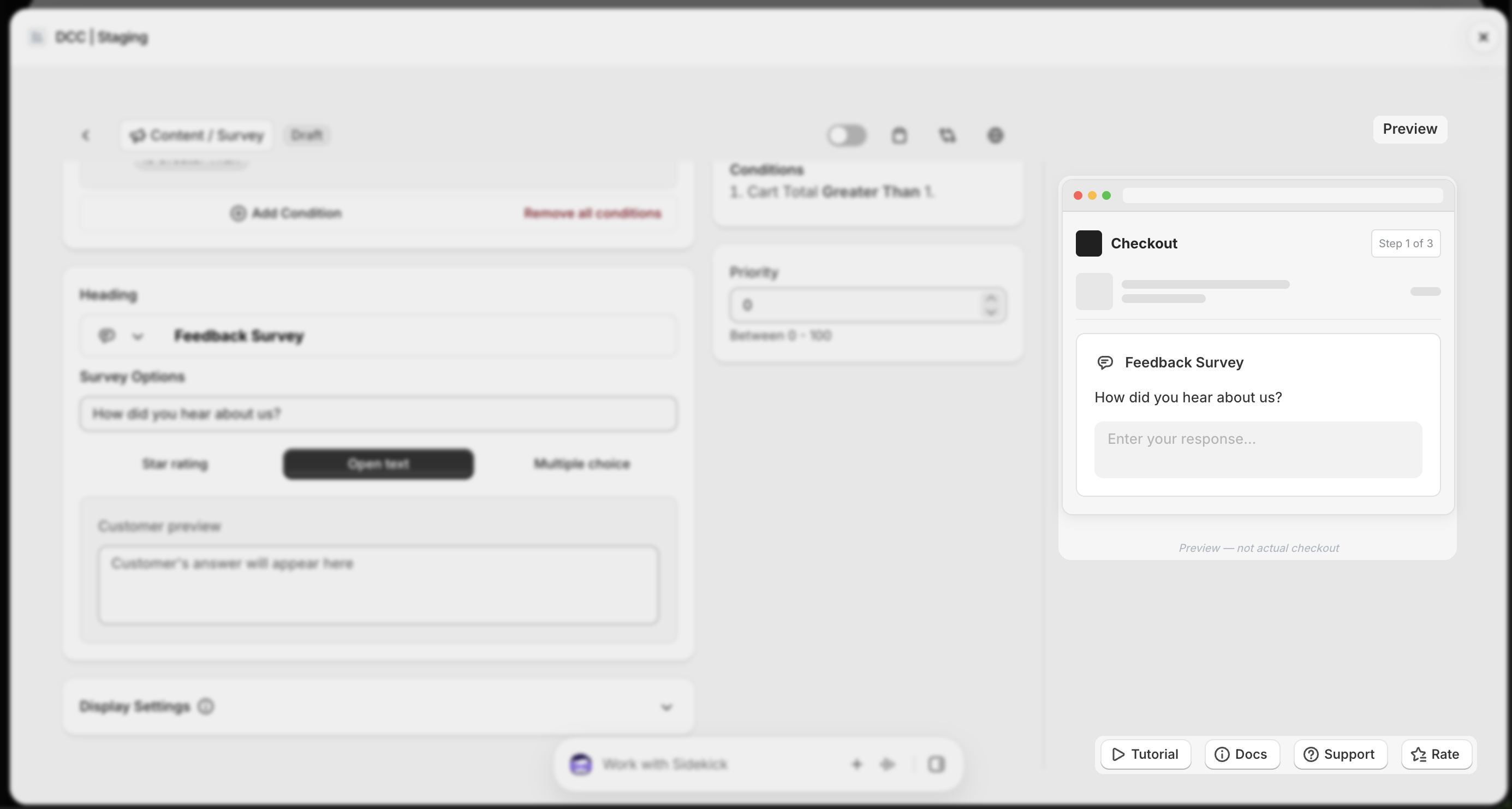 Survey Preview Focus