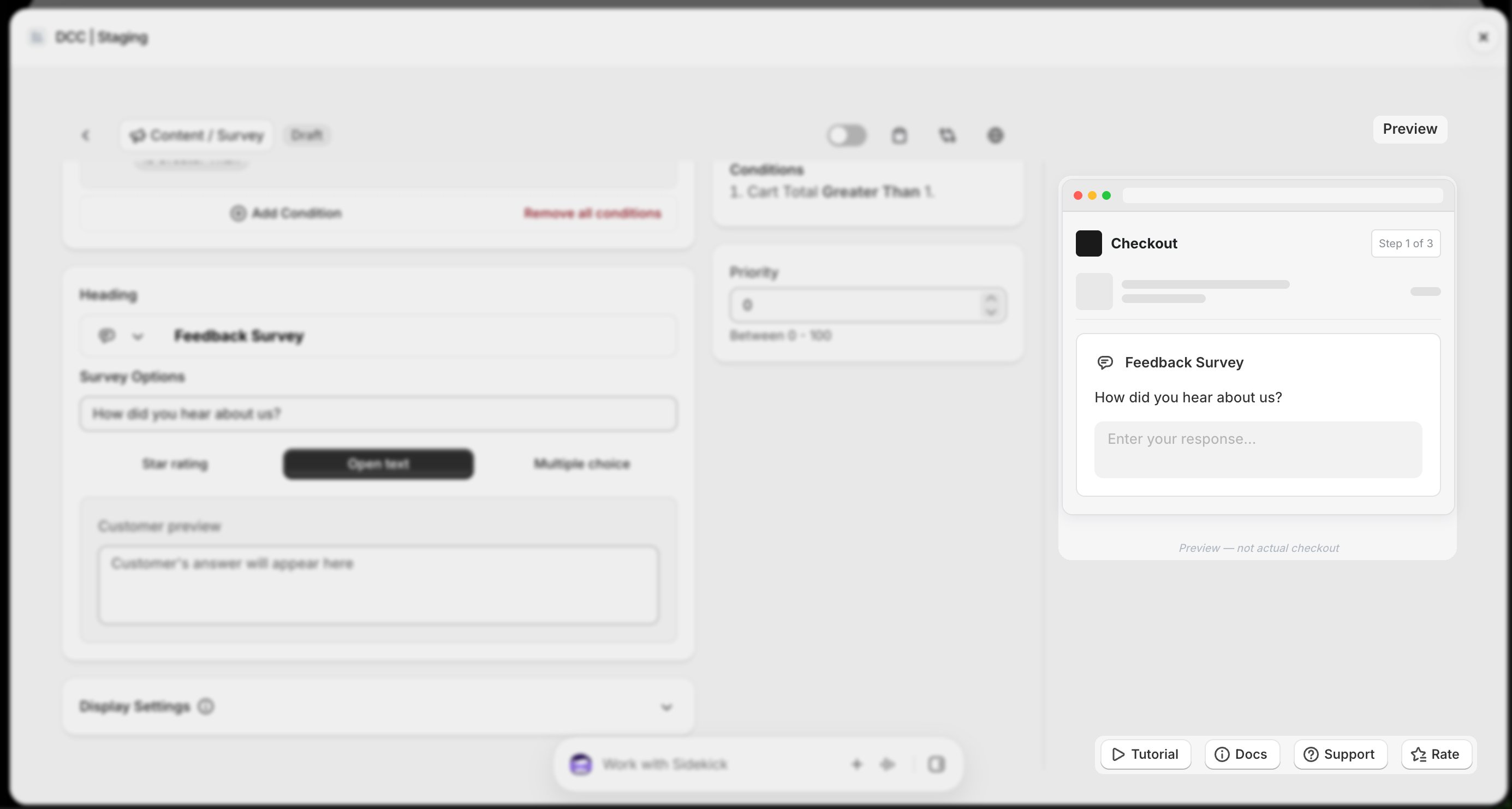 Survey Preview Focus