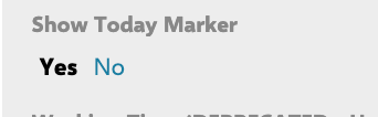 Widget Parameters Advanced section with the Show Today Marker option set to No