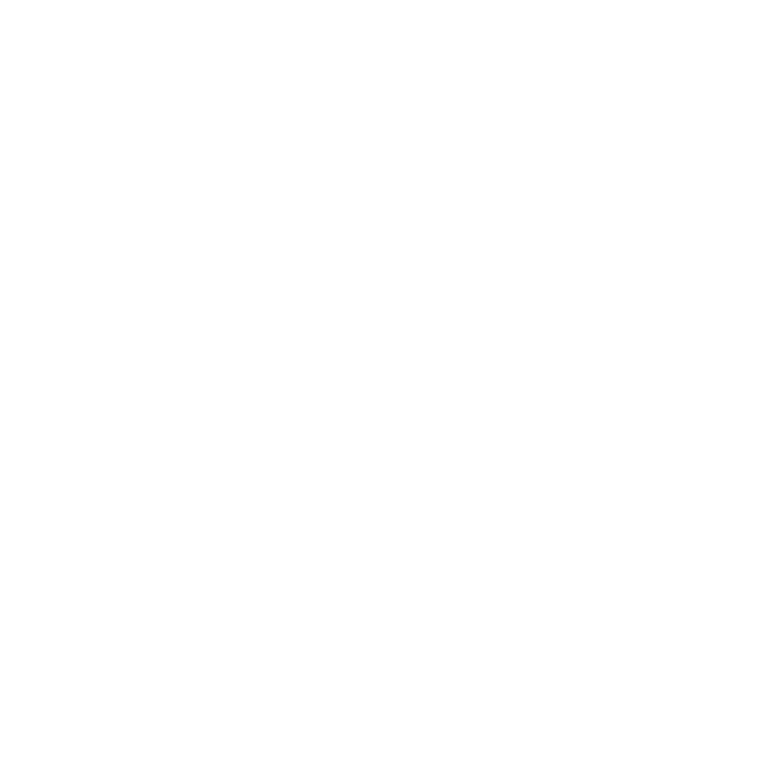 light logo