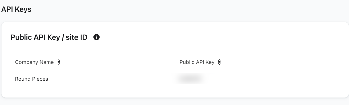 Klaviyo API Keys page showing the Public API Key