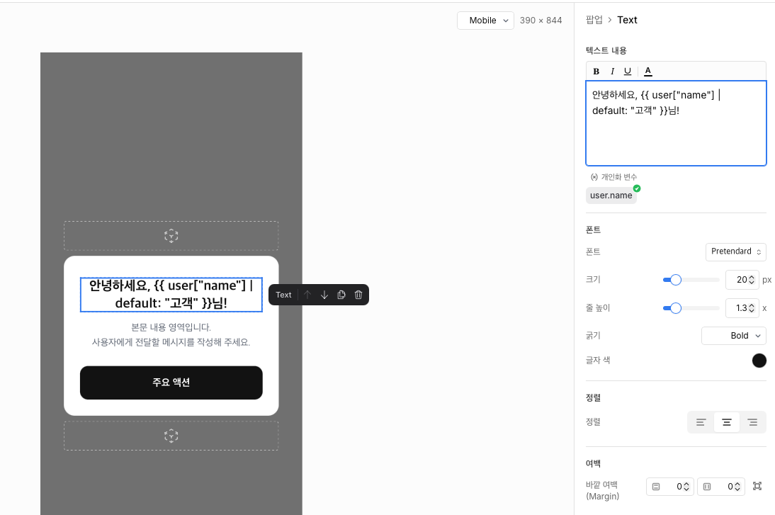 Text 블록에 개인화 문구를 삽입한 에디터 화면. 캔버스에는 치환 전 Liquid 문구가 표시됩니다.