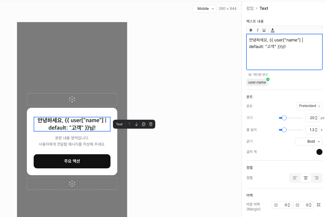Text 블록에 개인화 문구를 삽입한 에디터 화면. 캔버스에는 치환 전 Liquid 문구가 표시됩니다.