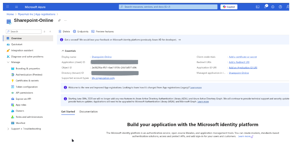 App registration Overview with Application (client) ID and Directory (tenant) ID