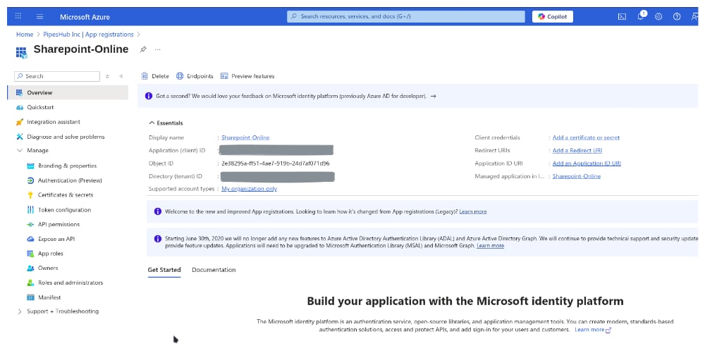 App registration Overview with Application (client) ID and Directory (tenant) ID