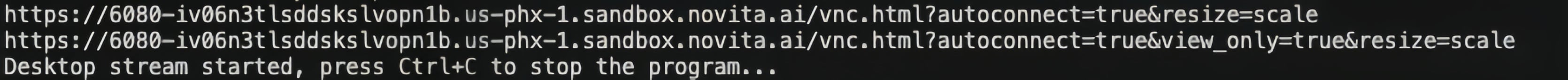 Computer Use